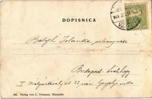 1905 Varasd, Warasdin, Varazdin; Gajeva ulica / utca, üzletek. Verlag von C. Trampus. 168. / street ...