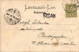 1905 Sziszek, Sisak; Stari grad (Schloss Sissek) / vár, gőzhajó. S. Jünker kiadása / castle, fortres...