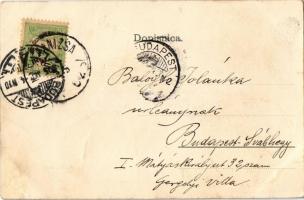 1905 Sziszek, Sisak; Rimska ulica / utca, vasútvonal, vasúti pálya, uszály / street view, railway li...