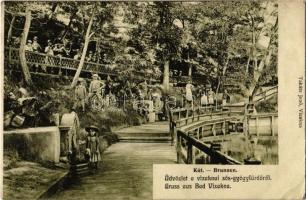 1907 Vízakna, Salzburg, Ocna Sibiului; Sós gyógyfürdő, kút. Takáts Jenő kiadása / Brunnen / salt baths, spa, fountain + "NAGY-SZEBEN - KIS-KAPUS 149. SZ." vasúti mozgóposta bélyegző (EK)