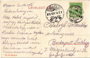 1908 Ada Kaleh, Török bazár, üzletek. Ali Mehmed kiadása / Turkish bazaar, shops + "ORSOVA - BU...