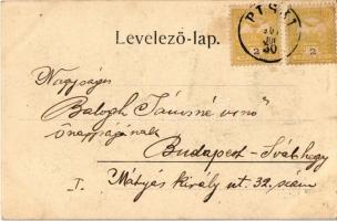 1901 Piski, Simeria; híd. Kass Gusztáv kiadása / bridge (EK)