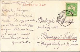 1908 Temesvár, Timisoara; Béga-sor, Horgony palota és kávéház, híd / Bega riverside, palace, café, b...