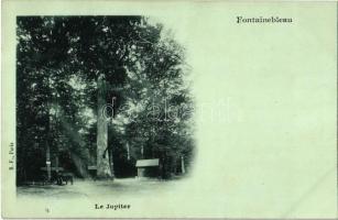 Fontainebleau, Le Jupiter / forest, horse-drawn carriage