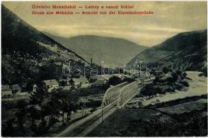 1908 Mehádia, látkép, vasúti híd a Temesvár-Orsova vasútvonalon. W. L. 1496. Brauch A. Fia kiadása / general view, railway bridge on the Timisoara-Orsova railway line (EK)