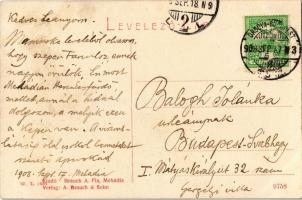 1908 Mehádia, látkép, vasúti híd a Temesvár-Orsova vasútvonalon. W. L. 1496. Brauch A. Fia kiadása /...