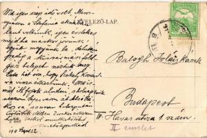 1911 Marosludas, Ludosul de Mures, Ludus;  Maros híd, ünneplő tömeg a hídon. W. L. Bp. 1613. Glück J...