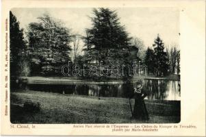 Saint-Cloud, Ancien Parc réservé de l'Empereur, Les Cédres du Kiosque du Trocadéro, plantés par Marie-Antoinette / former park of the Emperor, planted by Marie-Antoinette