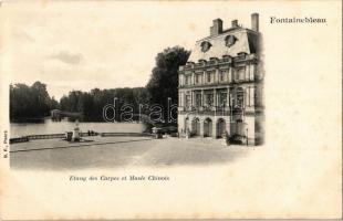 Fontainebleau, Etang des Carpes et Musée Chinois / museum, lake, kiosk