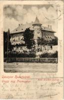 1901 Budapest XXII. Budafok, Bleicher Márton féle Hotel Erzsébet szálloda. Simon József kiadása (EK)