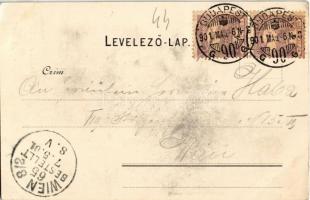 1901 Budapest XXII. Budafok, Bleicher Márton féle Hotel Erzsébet szálloda. Simon József kiadása (EK)