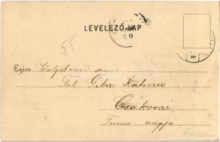 1904 Gyula, Városház utca, Takarékpénztár. Dobay János kiadása