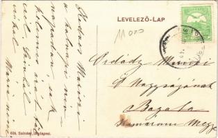 1910 Vajk, Vajka nad Zitavou; Boronkay kastély. 624. Szénásy kiadása / castle