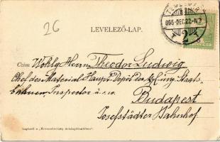 1905 Temesvár, Timisoara; Ferenc József színház. Montázs hintóval / theatre, montage with horse-draw...