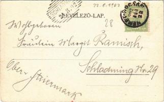 1902 Boksánbánya, Németbogsán, Deutsch-Bogsan, Bocsa Montana, Bocsa; erdei sikló, iparvasút. Rosner ...