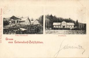 Leitersdorf-Oehlhütten with forestry