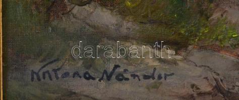 Katona Nándor jelzéssel: Hegyvidéki táj. Olaj, vászon, kartonra kasírozva, keretben. 80x60 cm