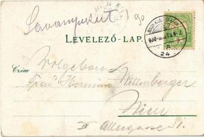 1900 Fraknó, Forchtenstein; Schloss Forchtenstein / Fraknó vára. Samuel Schön kiadása / castle. Art ...