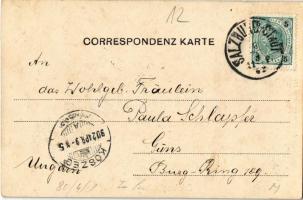 1902 Salzburg, von Mülln / general view