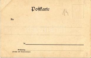 Wels, Kaiser Josefs-Platz mit Monument, Buchdruckerei / square, monument, shop of Peregrin Fischer, ...