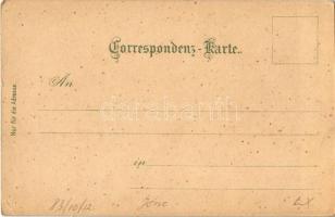 Zell am See, Schloss Fischhorn, Hotel Elisabeth, Zell a. See gegen d. Tauern / castle, hotel, genera...