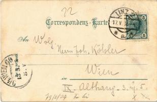 1905 Linz an der Donau, general view. Montage with folklore lady in the window (EB)