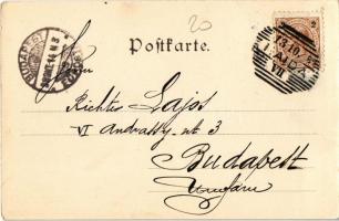 1898 Novy Bor, Haida; Neuer Ring / street view, villa. E. Strache, Art Nouveau (EK)