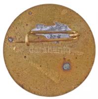 1955. "DISZ (Dolgozó Ifjúság Szövetsége) - 1955. április 4. 10" Br jelvény (23mm) T:2