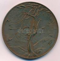 Kiss Nagy András (1930-1997) DN "Csontváry Tivadar" Br emlékérem ÁPV tokban, német nyelvű ...