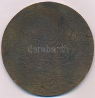 DN "Pro Patria" Br plakett (86mm) T:1-