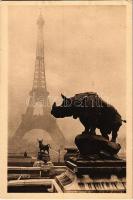 Paris, La Tour Eiffel vue des Jardins du Trocadéro / Eiffel Tower seen from the Trocadero Gardens s: Yvon (EK)