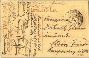 1911 Verőce, Nógrádverőce; Duna parti villák + "Budapest-Galánta-Oderberg 362" mozgóposta