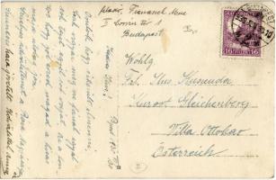 1930 Budapest I. "Gardenia" élő és művirág üzlet. Corvin tér 1. photo