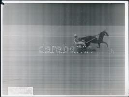 1976-1985 Budapest, 4 db lóverseny célfotó, 18×24 cm