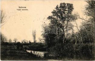 1914 Kalocsa, Vajas folyó mentén. Jurcsó Antal kiadása