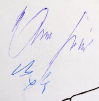 Nagy Béla: Százszor szép Ferencváros. 100 éves a Ferencvárosi Torna Club. Fradi futballmúzeum 27. Bp...