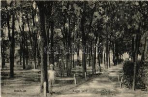 1907 Komárom, Komárnó; Angol kert / park (EB)