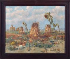 Némethy jelzéssel: Föld napraforgókkal, olaj, vászon, enyhén sérült, fa keretben, 39x49 cm
