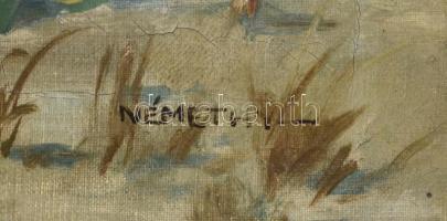 Némethy jelzéssel: Föld napraforgókkal, olaj, vászon, enyhén sérült, fa keretben, 39x49 cm