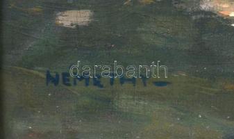 Némethy jelzéssel: Juhász a kutyájával gémeskútnál, olaj, vászon, sérült, fa keretben, 39x49 cm