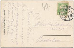 Komárom, Komárnó; Ferenc József rakpart, Löwinger Zsigmond üzlete / quay, shops (EK)