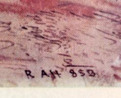 5 db modern színes nyomat, ebből 4 db Pest és Buda 19. századi látképeivel (Duna-part, Lánchíd, Nemz...