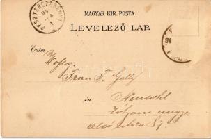 1894 (Vorläufer!) Budapest, Panoráma a Királyi vártól, Kir. Opera, Lánchíd, magyar zászló és Budapes...