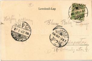 1906 Temesvár, Timisoara; Józsefváros, Hunyadi híd, Temes-Bégavölgyi palota, villamos / Iosefin, bri...