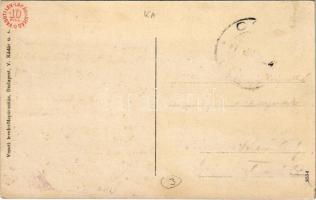 Csap, Cop, Chop; Pályaudvar, vasútállomás. Vasúti Levelezőlapárusítás / Bahnhof / railway station (R...