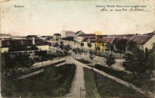 Szencz with synagogue