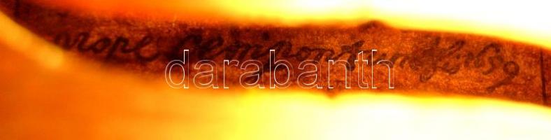 Mesterhegedű 1669 Jacobus Stainer jelzéssel a hegedű belsejében + tok