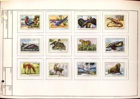 893 darabos szovjet gyufacímke gyűjtemény szépen feldolgozva