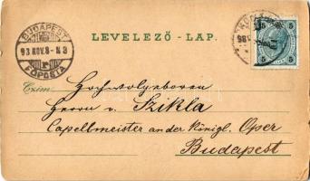 1898 Komárom, Komárnó; Városház, Tiszti pavilon, Törvényszéki palota, Esterházy pavilon, Klapka szob...