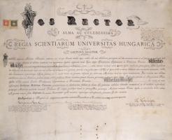 1904 Orvosi diploma, díszes oklevél, Budapest, 2 korona és 1 korona okmánybélyeggel
